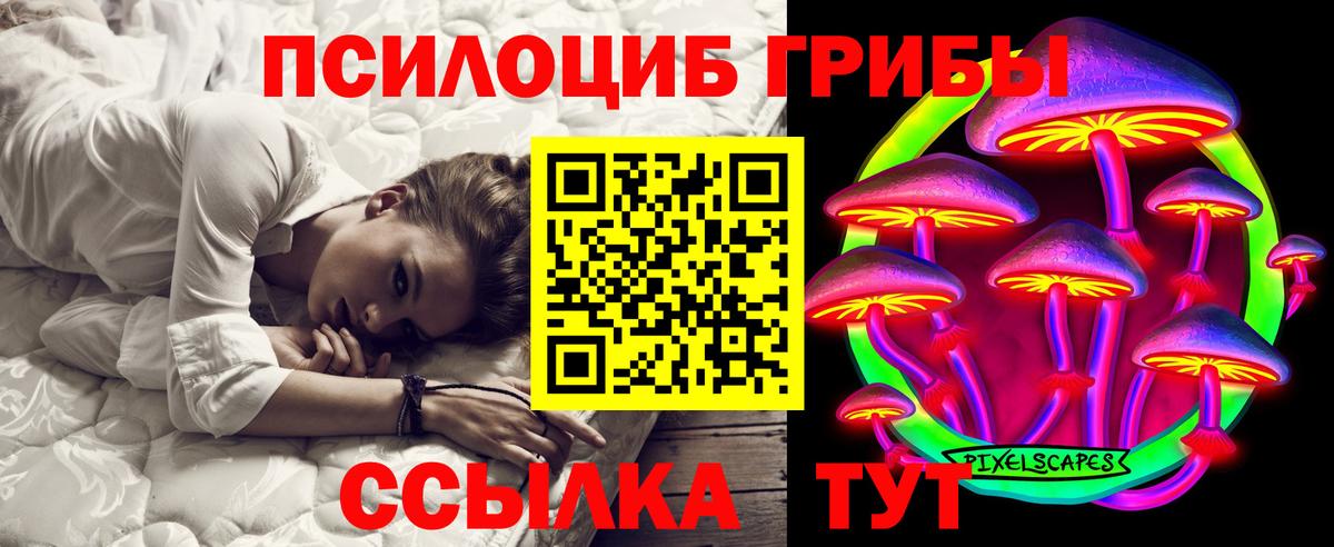 Муром  Галлюциногенные грибы GOLDEN TEACHER  Вход с VPN 